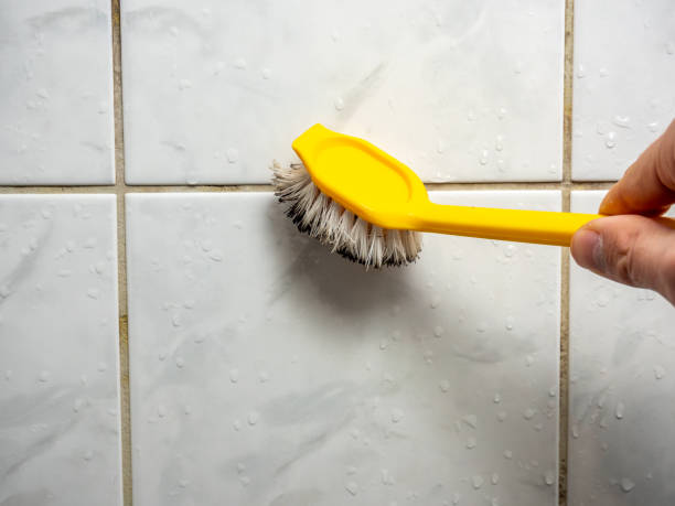 Best Mold Removal Company Near Me  in Tierra Verde, FL