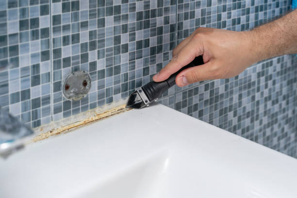 Best Black Mold Removal  in Tierra Verde, FL